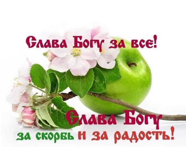 Слава Богу за скорбь и радость
