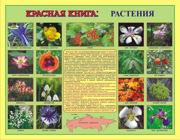 Растения красной книги России