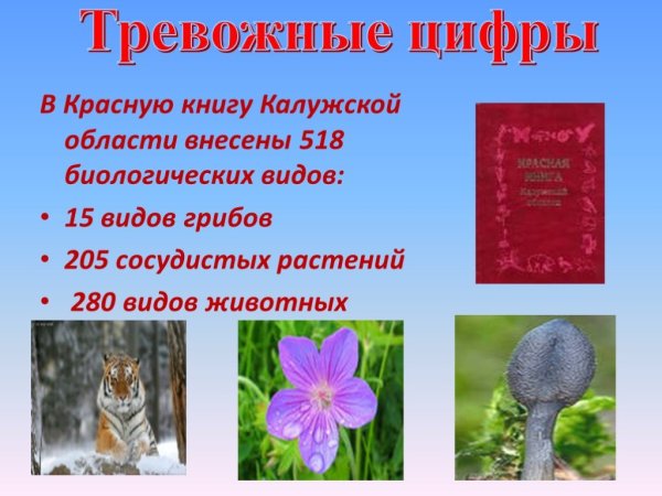 Цветы которые занесены в красную