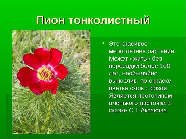 Лотос орехоносный красная книга