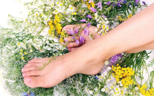 Ноги на траве в обуви