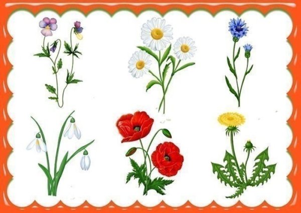 Цветочки для ДОУ