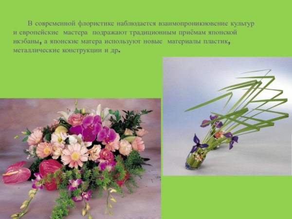Презентация на тему флористика