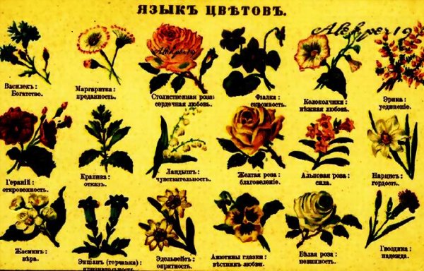 Символика растений и цветов