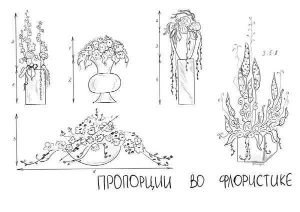 Золотое сечение пропорция во флористике