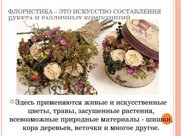 Сообщение на тему флористика