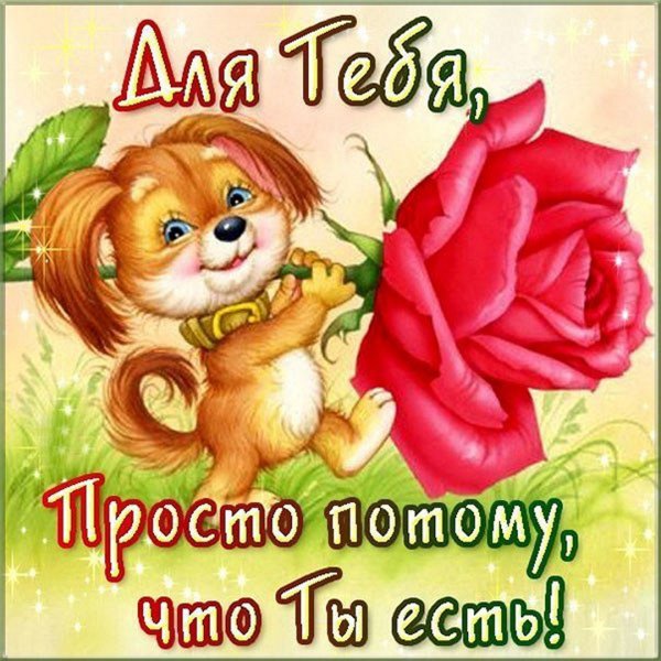 Мем про цветы и девушек