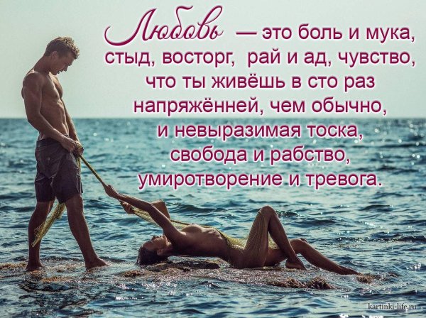 Прикольные фразы про шампанское