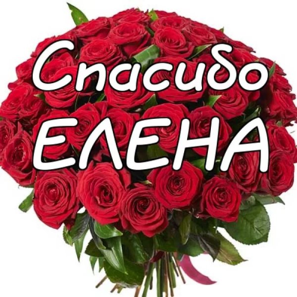 Леночке самые красивые розы.