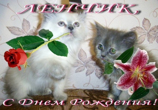 С днём рождения Лена