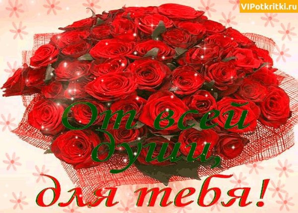 Цветы с пожеланиями