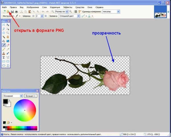 Цветы полоса