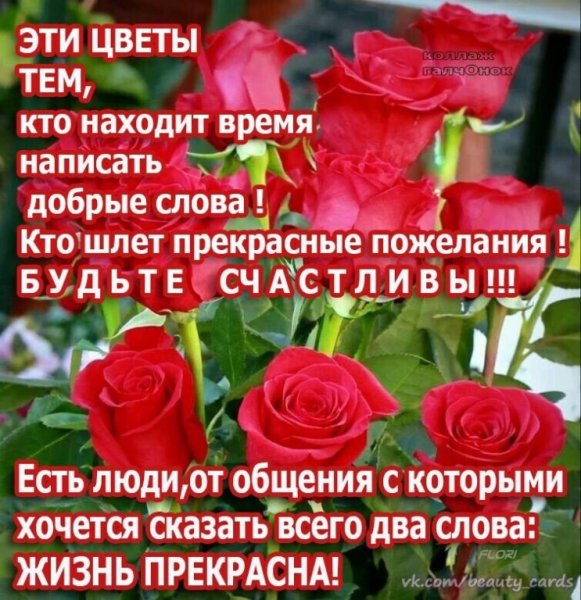 Хорошего настроения цветы