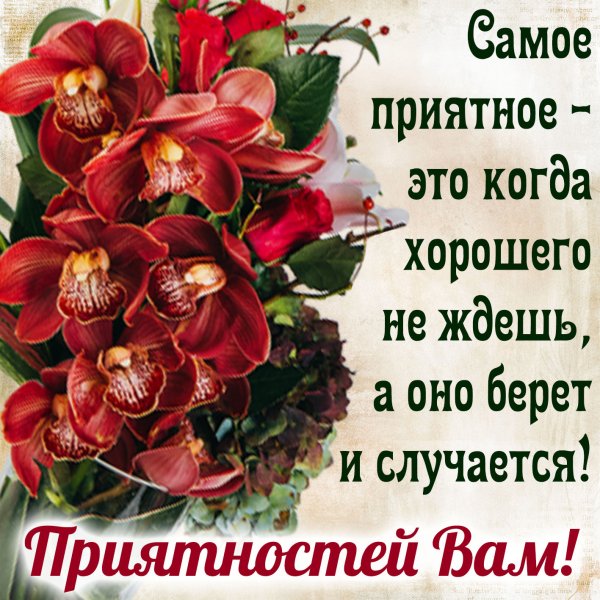 Желаю просто от души