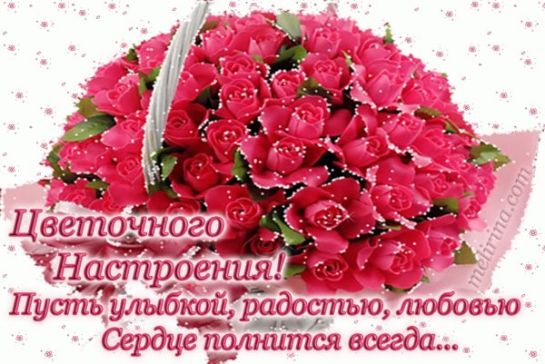 Доброе утро здоровья и счастья