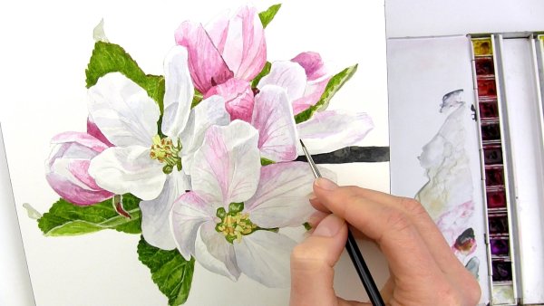 Акварельные цветы