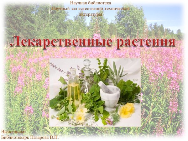 Проект лекарственные растения