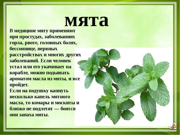 Лекарственные растения описание