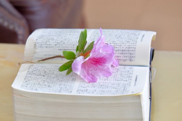 Библия и цветы