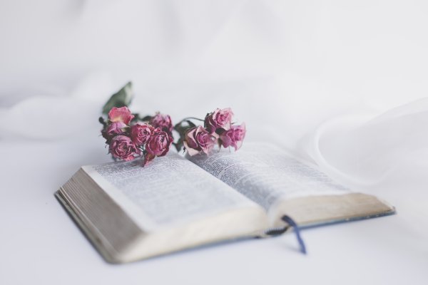 Фон книги