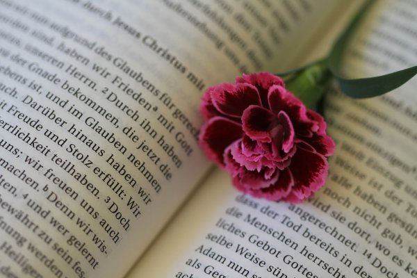 Библия и цветы