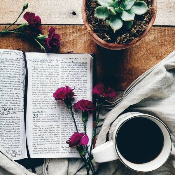 Эстетика растений и книг
