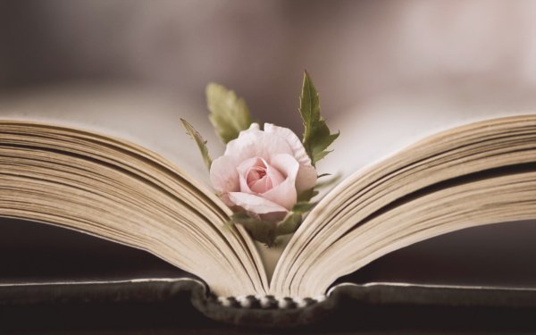 Книга цветы