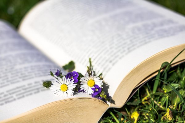 Лето с книгой