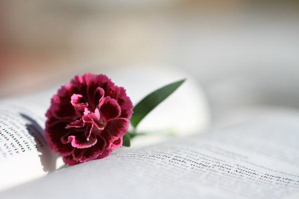 Библия в цветах