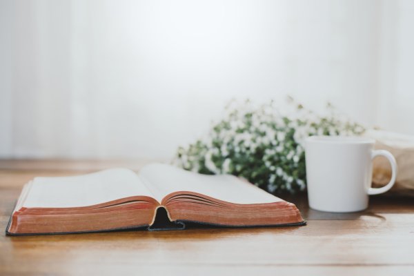 Пастельные цвета - книжная страсть и Библия картинка