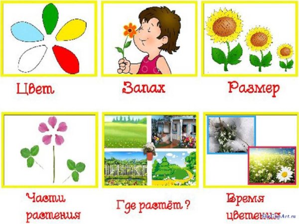 Цветочки для украшения группы