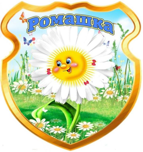 Полевые цветы средняя группа