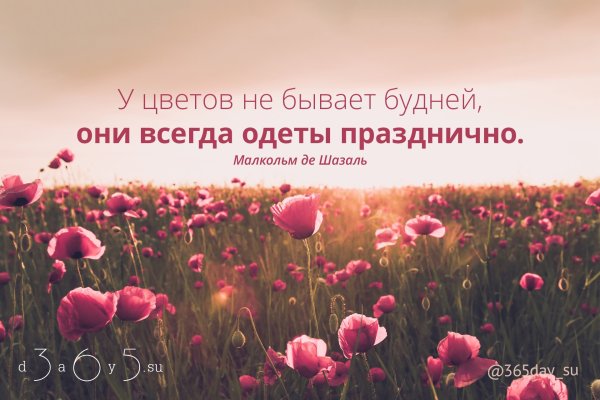 Желание и настойчивость вы прорастете даже сквозь асфальт если у вас
