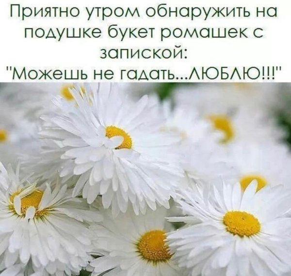 Цветы в ладонях