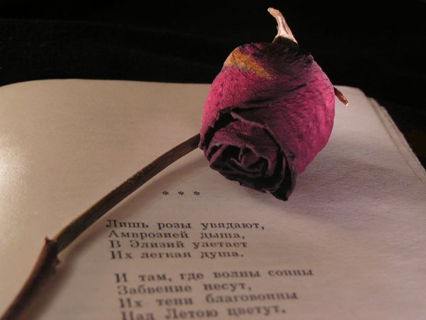 Красивые добрые высказывания