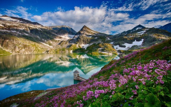 Альпийские Луга Швейцария
