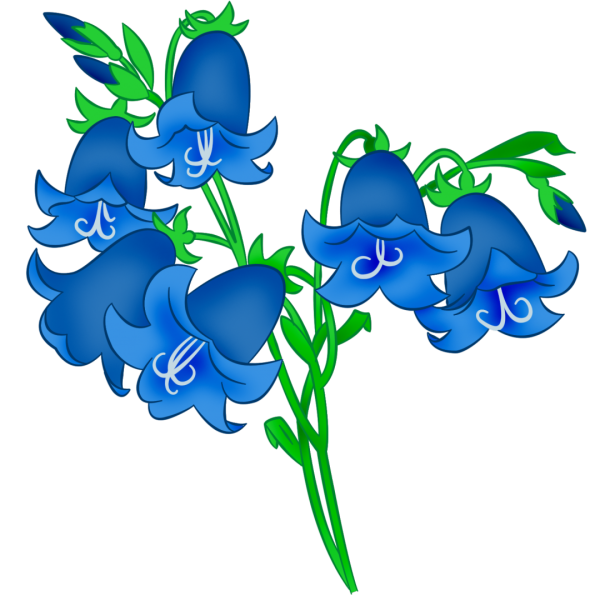 Колокольчик цветок рисунок - 46 фото - смотреть онлайн