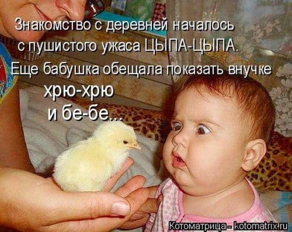 Детский юмор в картинках с надписями