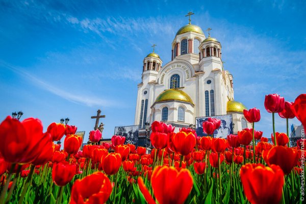 Храмы с цветами