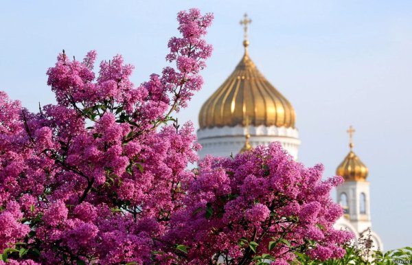 Церковь весной