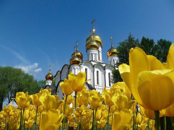 Церковь весной