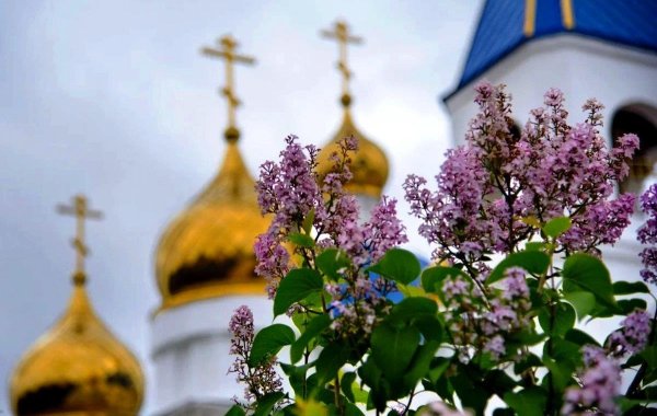 Церковь ромашки