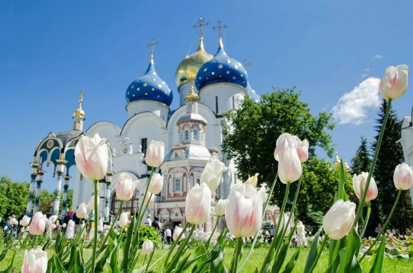 Смоленский собор и сирень