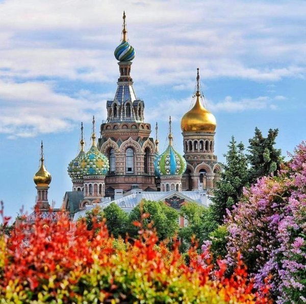Церковь цветы