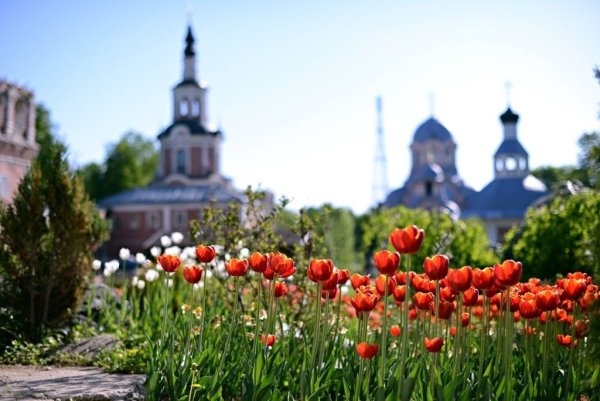 Храм в весеннем Оренбург