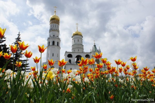 Красивая Церковь весной