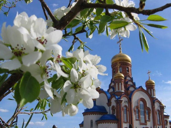 Храмы сирень в Москве