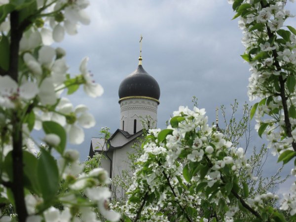 Храм в цветочном поле