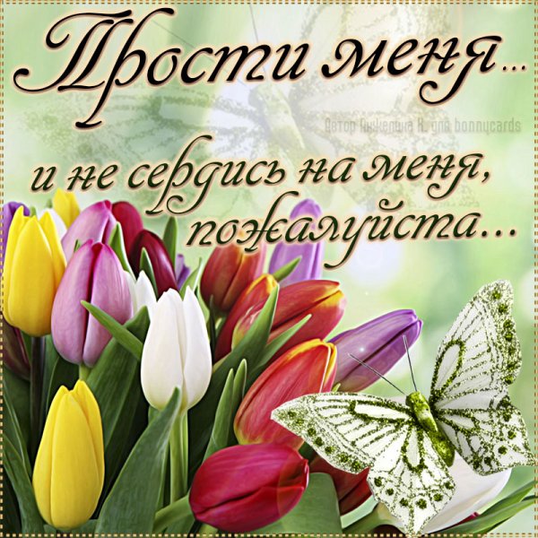 Открытка "прости"