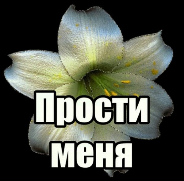 Прости меня картинки